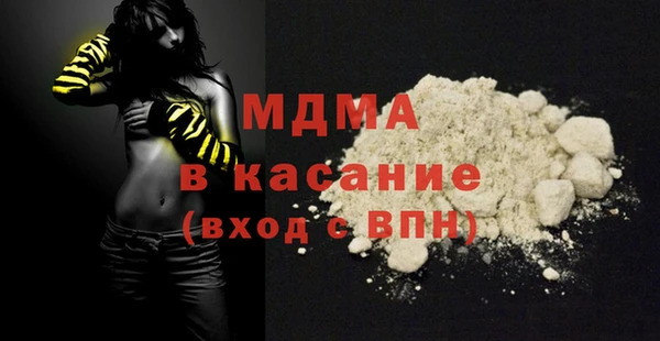 индика Богородицк