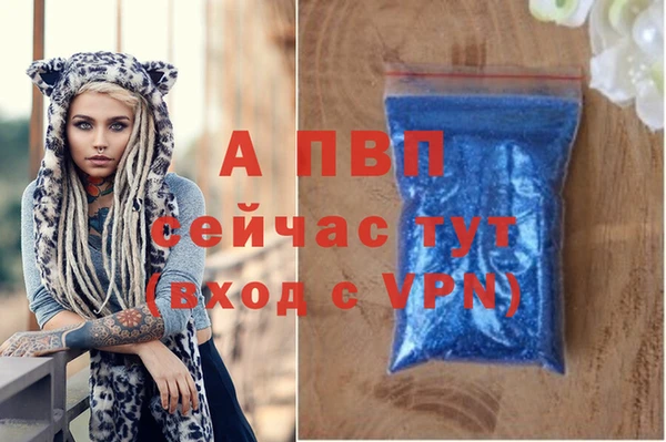 спайс Баксан