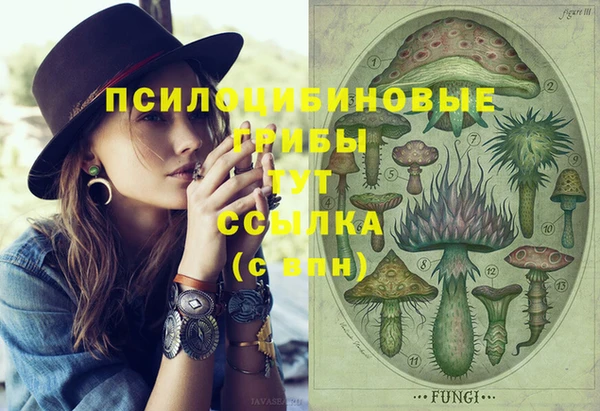 спайс Баксан
