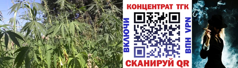 Купить где  Елабуга  ТГК концентрат 