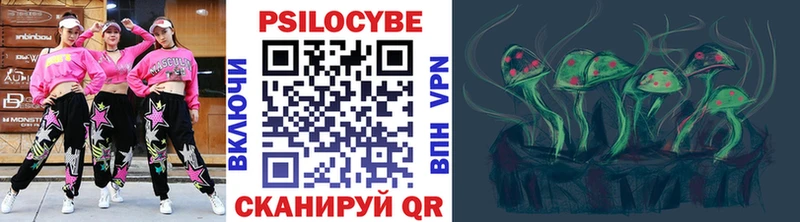 Купить где Елабуга Галлюциногенные грибы прущие грибы